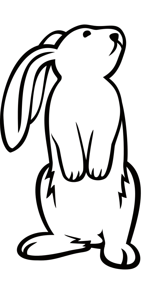 Rabbit Fur